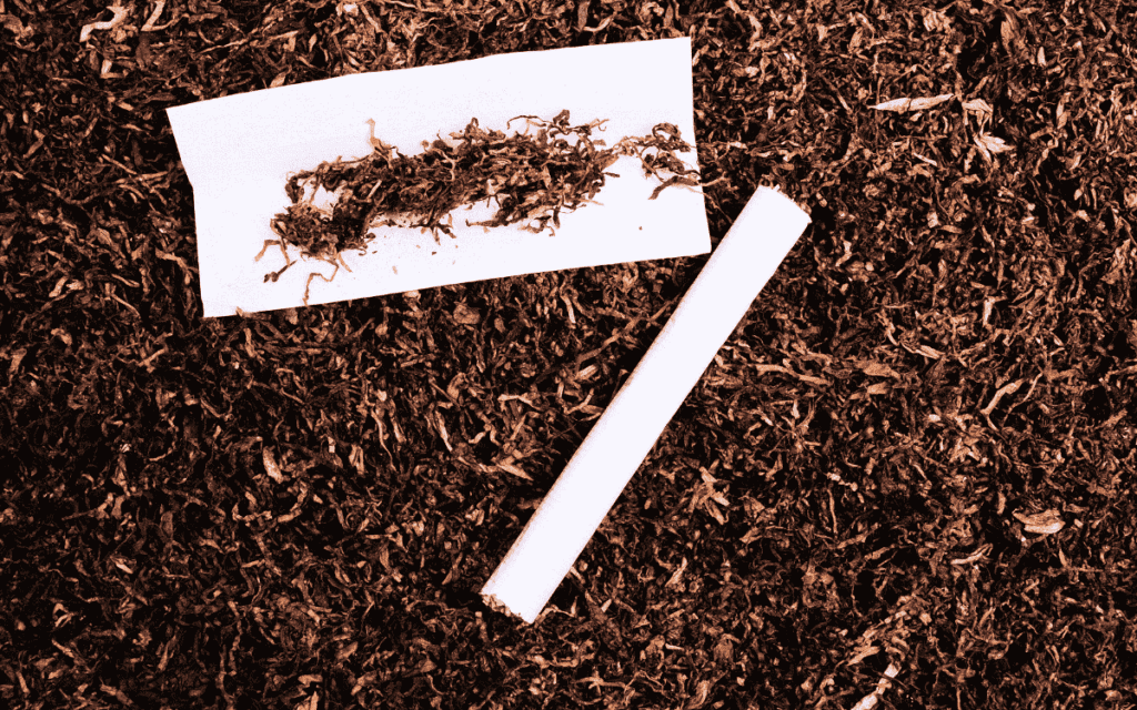 Global Tobacco Machinery Market Analysis and Forecast