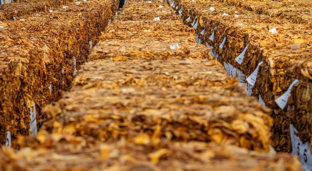 How Tobacco Is Stored to Preserve Freshness and Quality