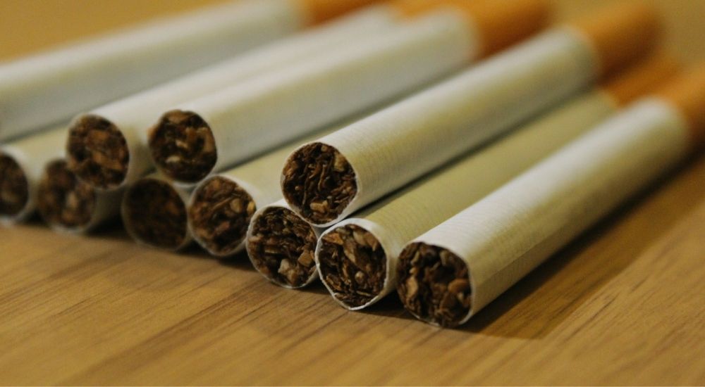 Key Differences Between Virginia, Burley, and Oriental Tobacco
