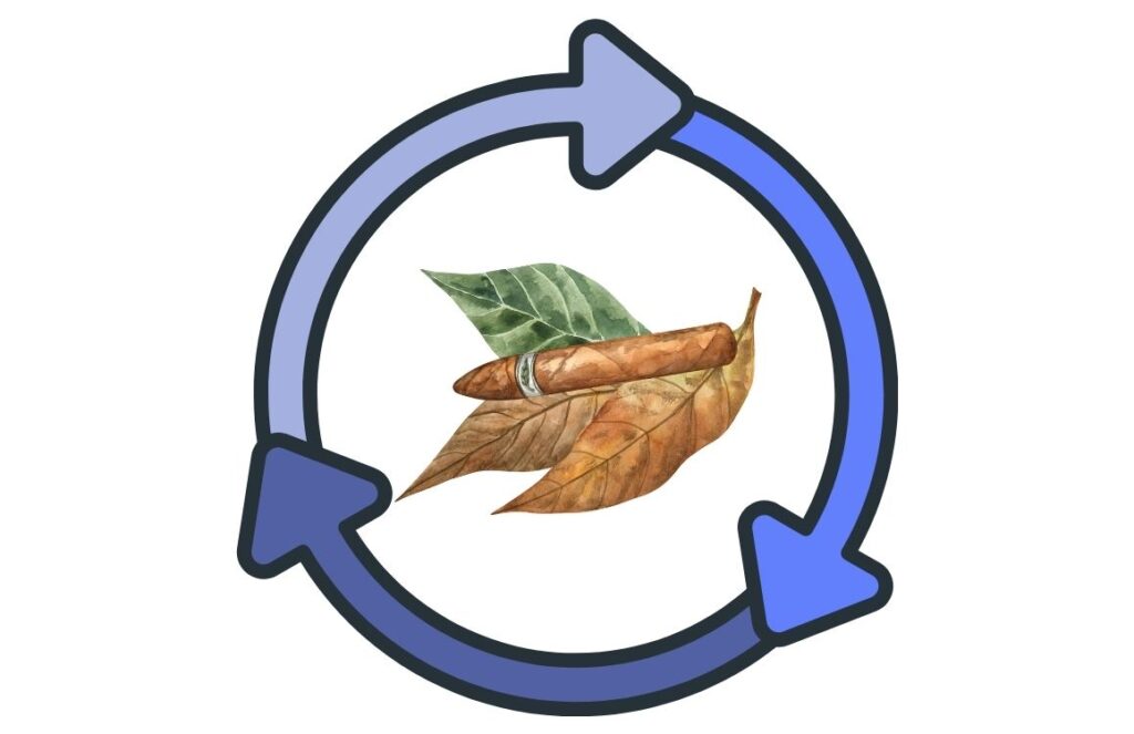 Lifecycle of Tobacco in a Cigarette Production Facility