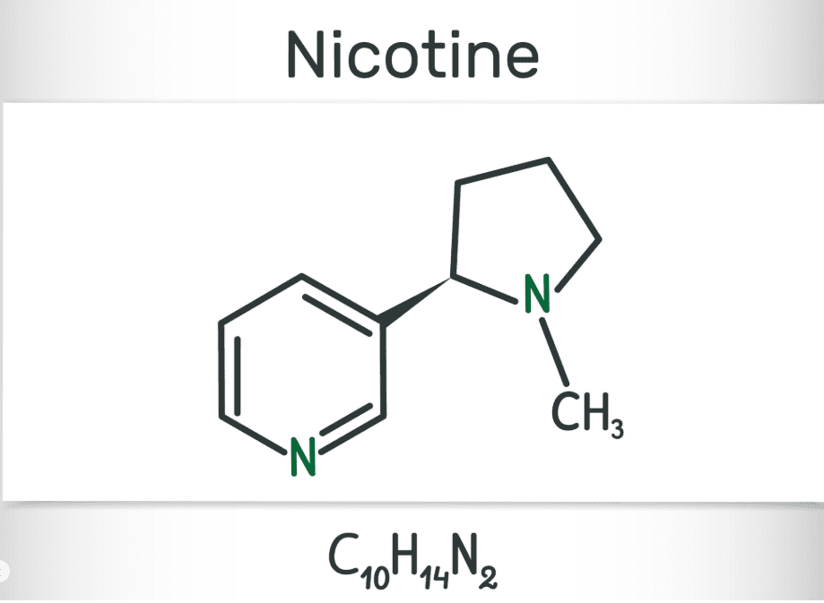 Nicotine chemical structure