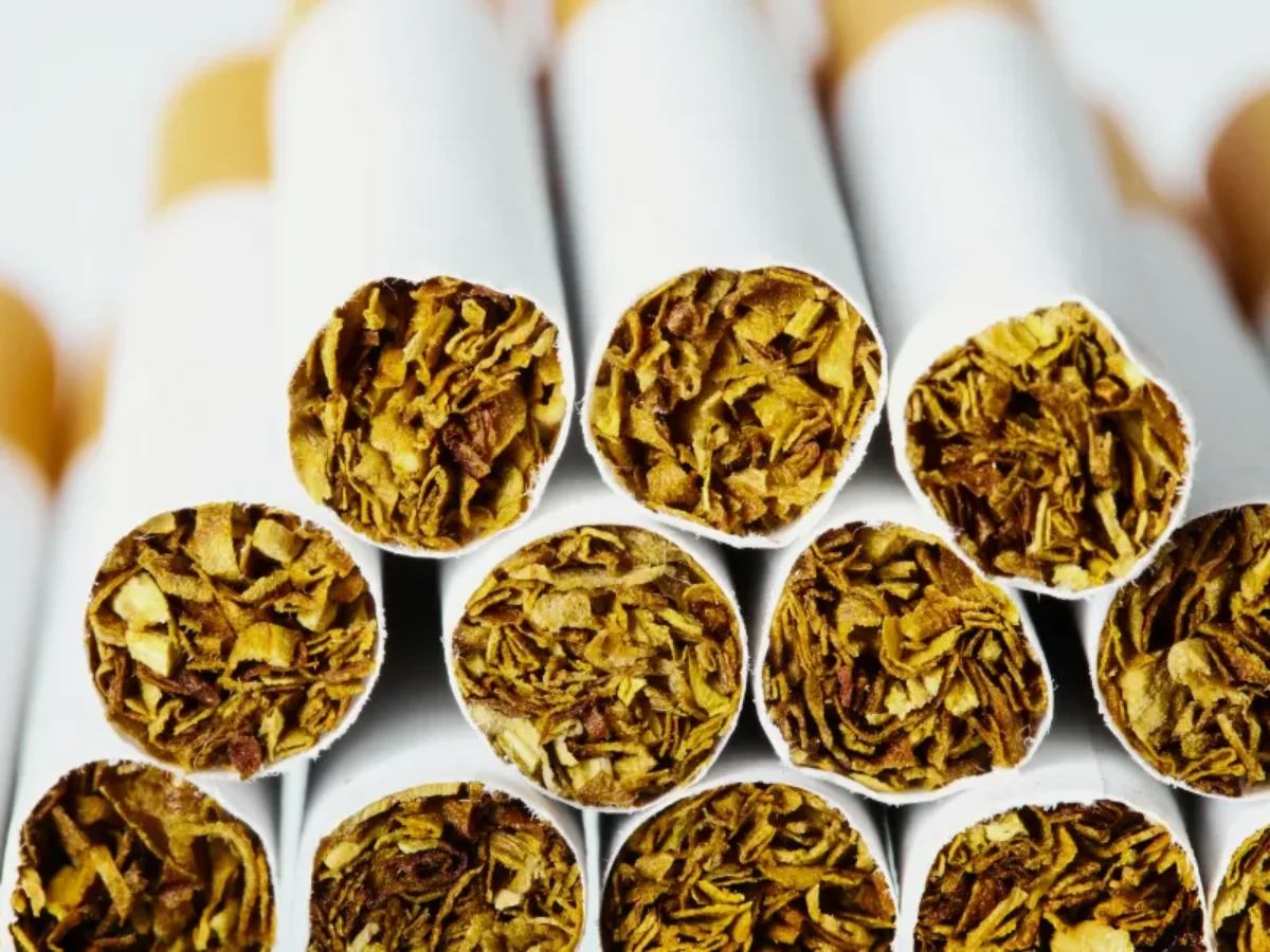 How Cigarettes Are Manufactured? Facts' You Don't Know