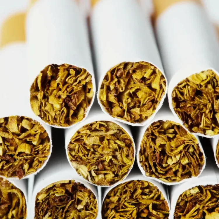 manufactured cigarettes How Big Tobacco made more addictive 1,748 Cigarette Manufacturing Stock Photos,