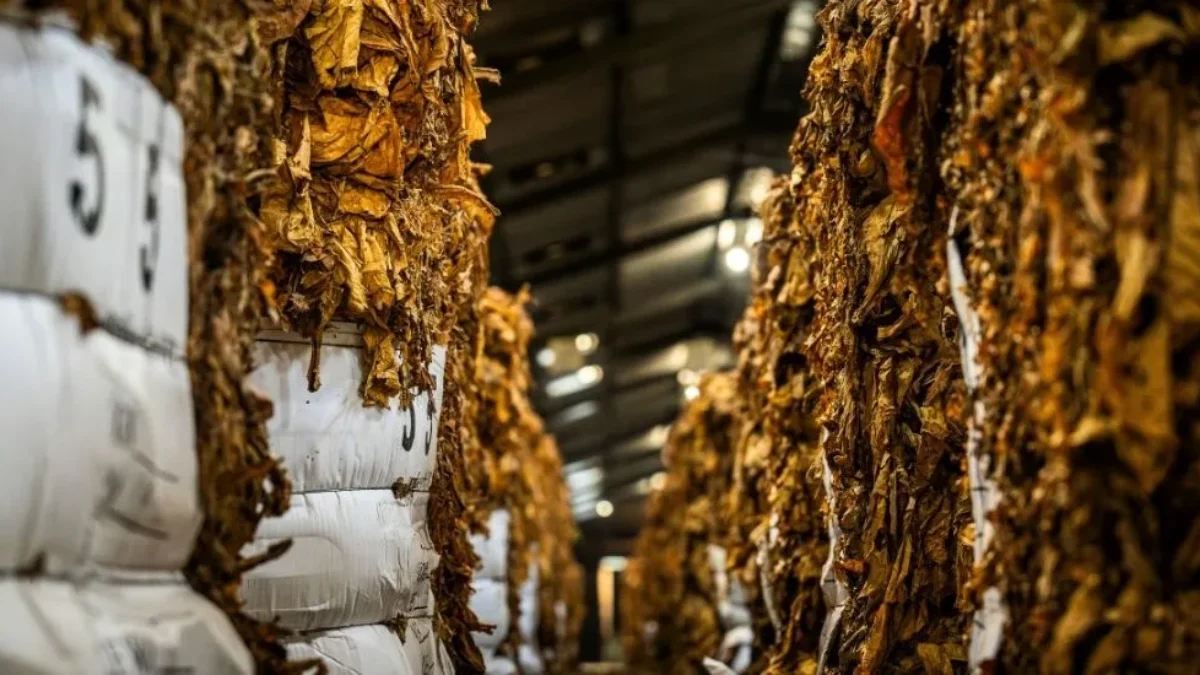 tobacco tubes for sale Buy Cigarette Tubes Online tobacco tubes for sale Buy Cigarette Tubes Online