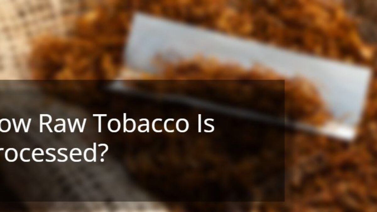 How Raw Tobacco Is Processed Before Cigarette Production