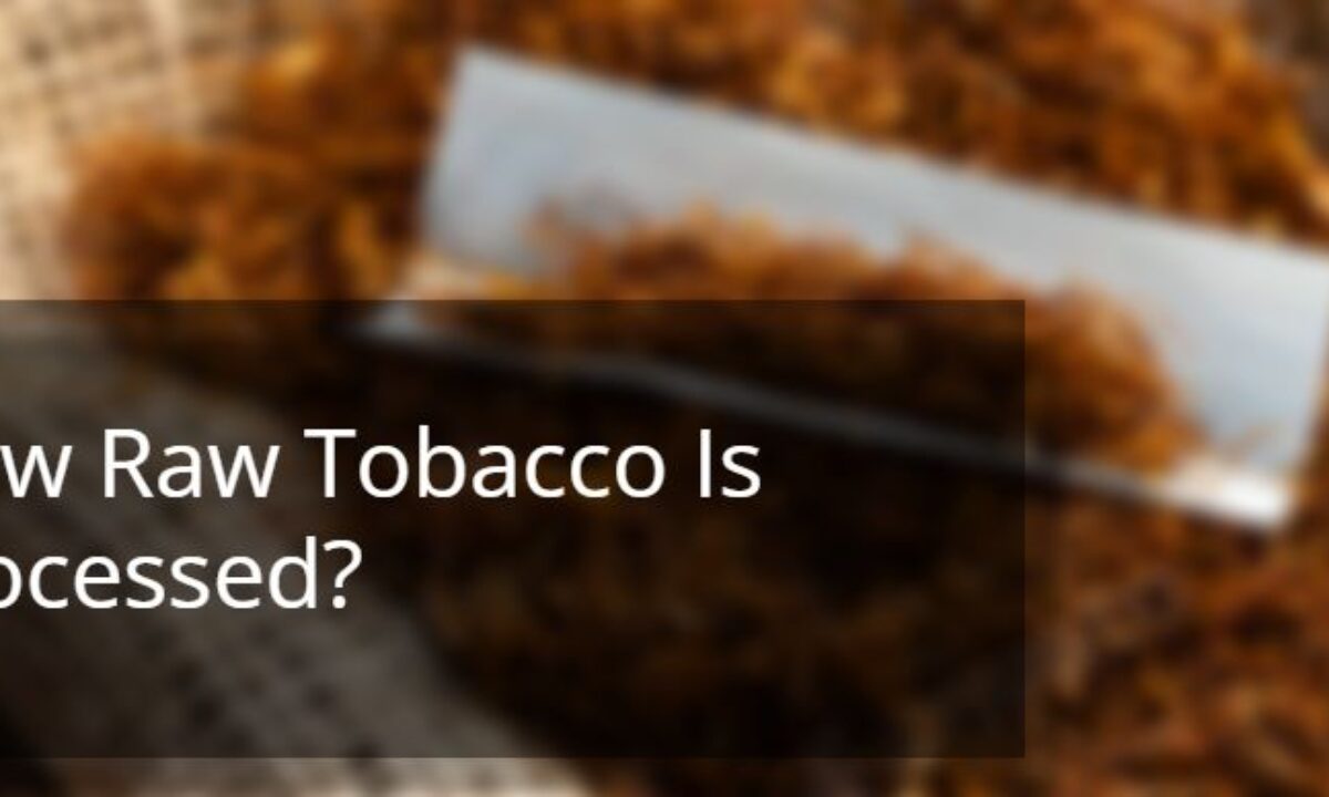 tobacco portal Tobacco Prevention Education Program Portal Navigation Guide