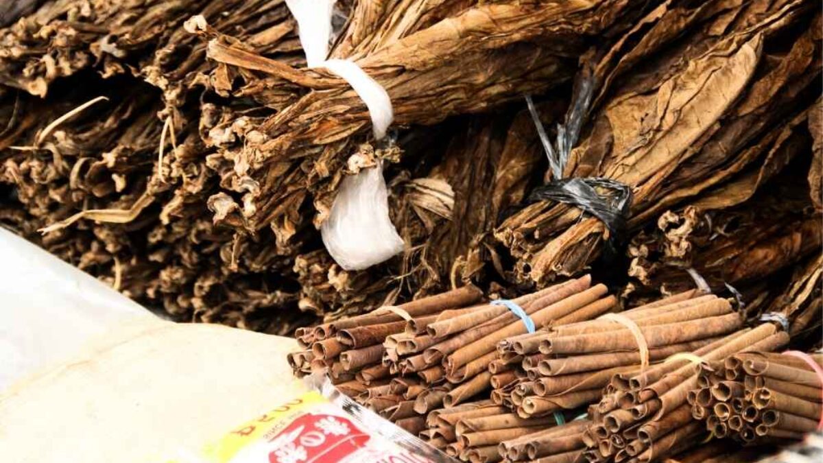 scandinavian tobacco company Denmark: Scandinavian Tobacco Group acquires Torano Family Cigar Company brands scandinavian tobacco company Denmark: Scandinavian Tobacco Group acquires Torano Family Cigar Company brands