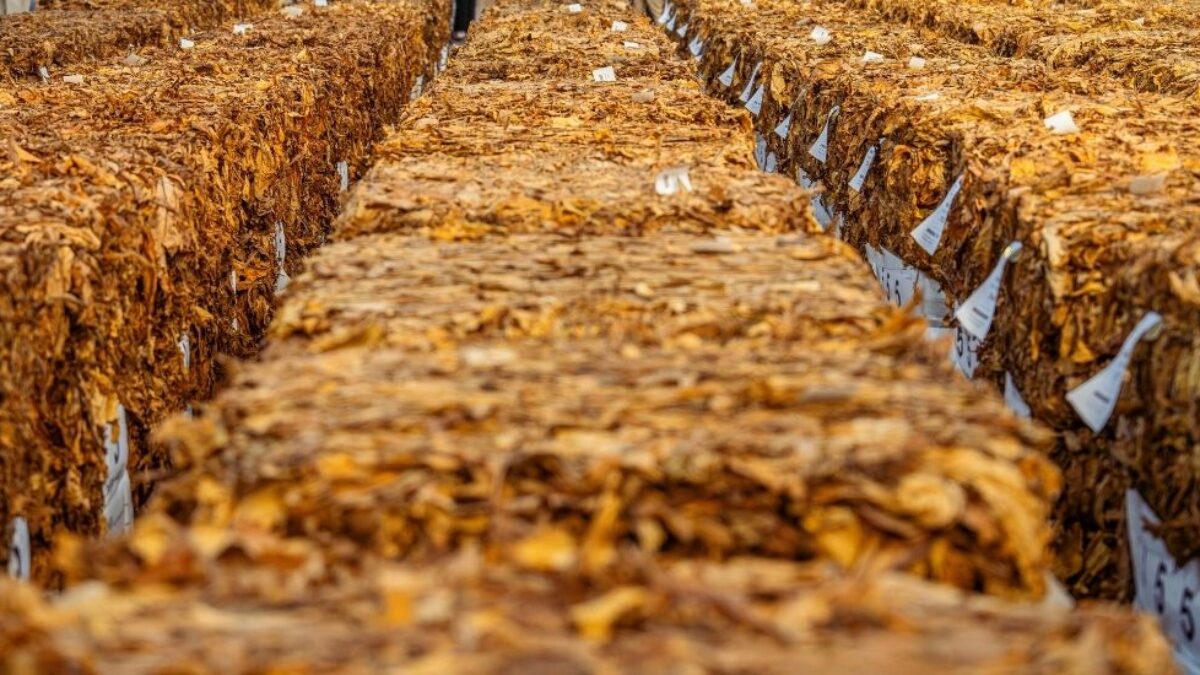 my tobacco is dry How Tobacco Is Stored to Preserve Freshness and Quality