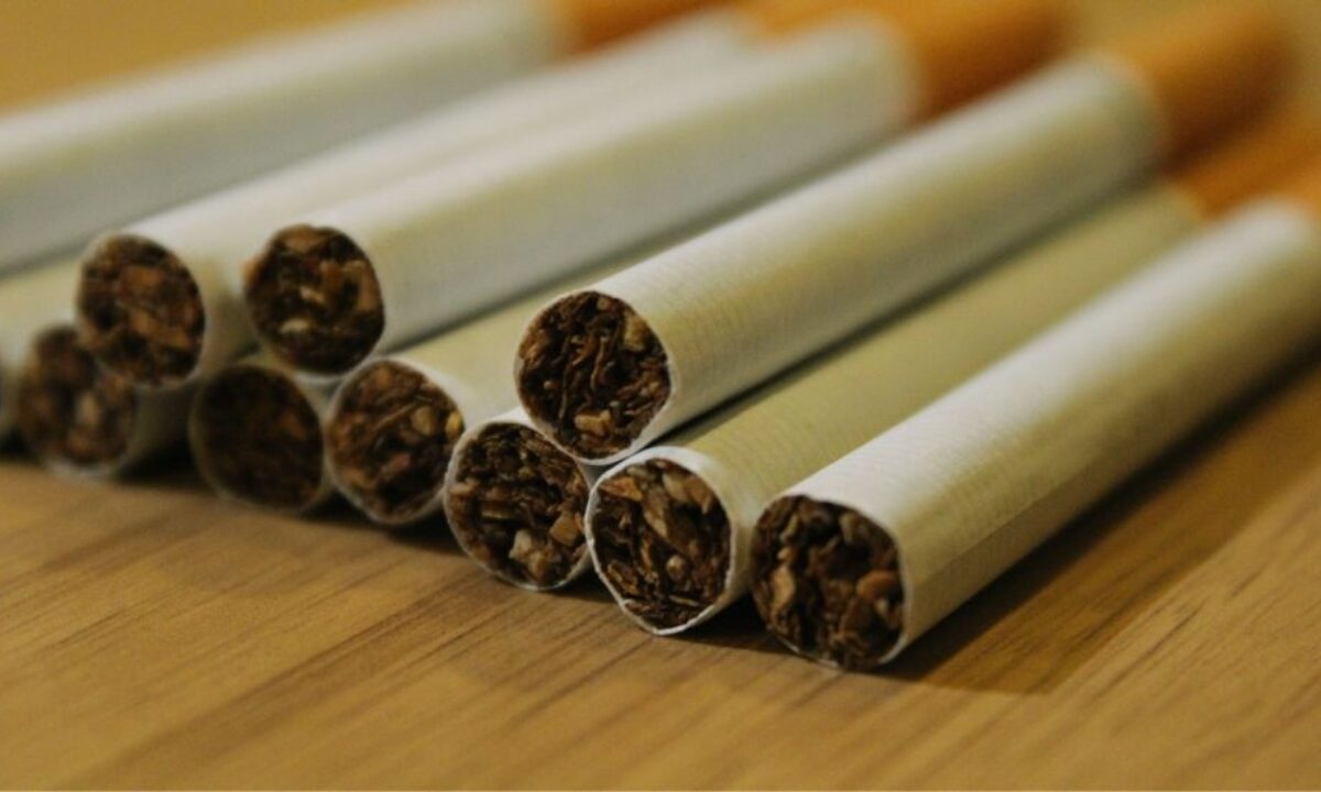 oriental tobacco varieties Key Differences Between Virginia, Burley, and Oriental Tobacco