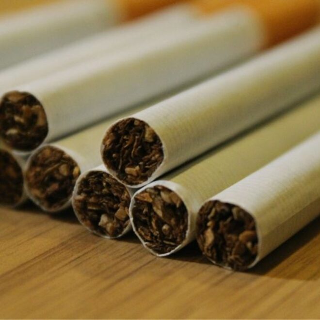 is counterfeit tobacco dangerous Detector dogs help Trading Standards sniff out fake tobacco