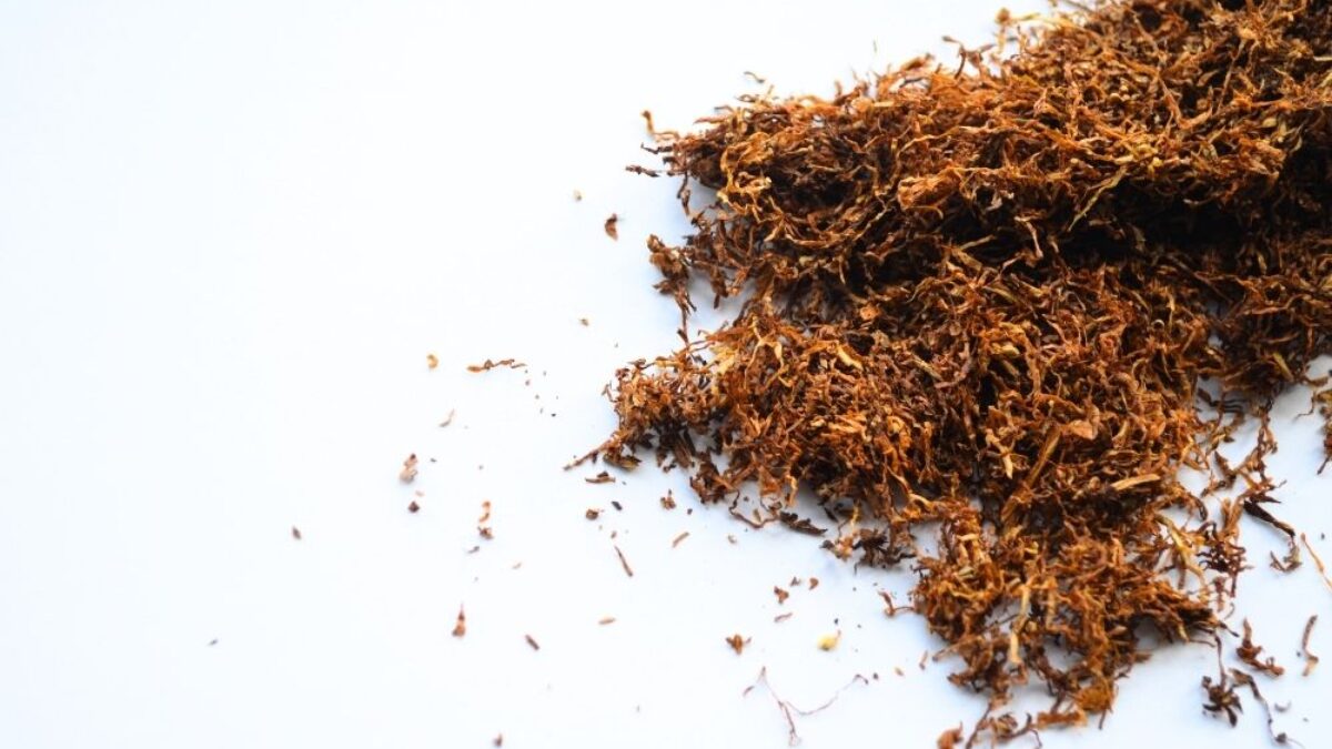 can you dry wet tobacco How to Cigarettes Role of Tobacco Moisture Control
