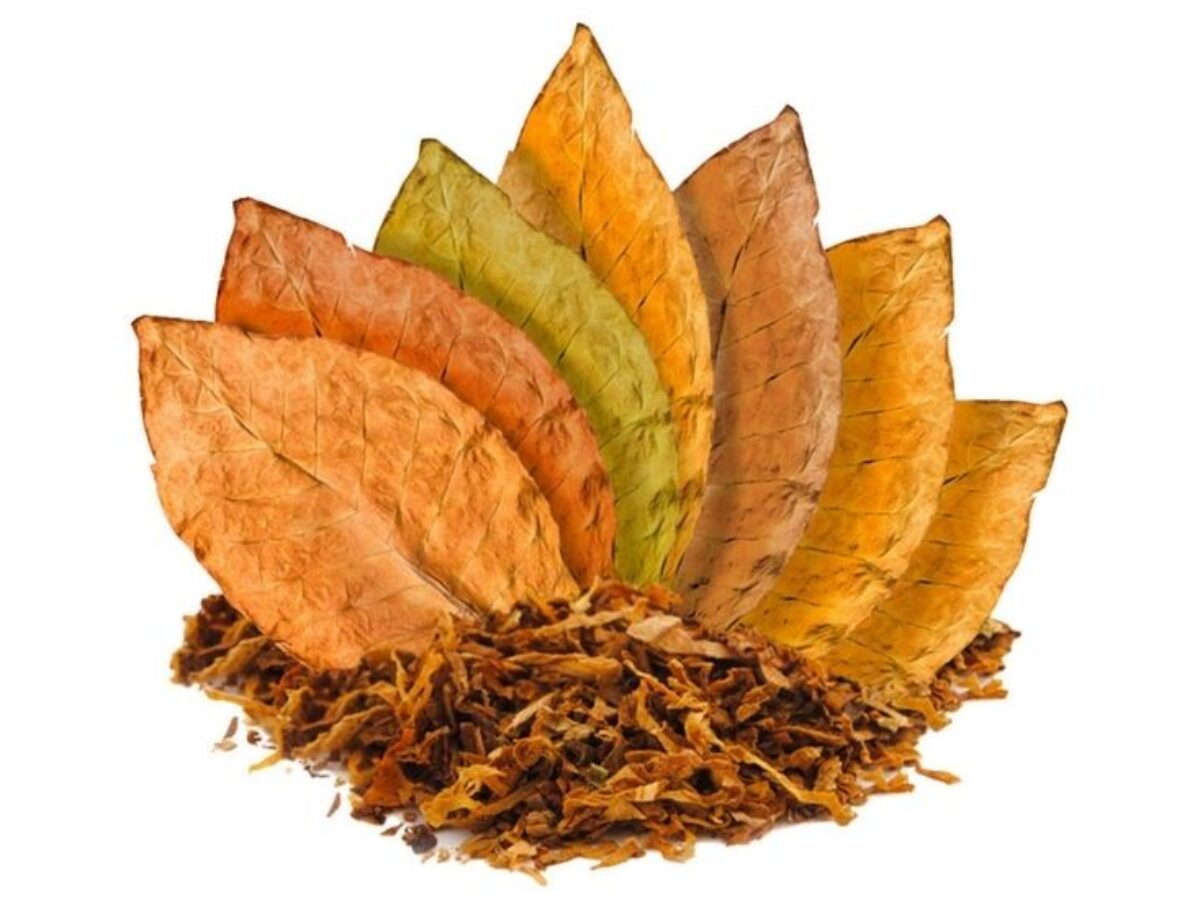 how much has tobacco gone up today U.S. Tobacco Market Size & Share Report, 2022-2030 how much has tobacco gone up today U.S. Tobacco Market Size & Share Report, 2022-2030