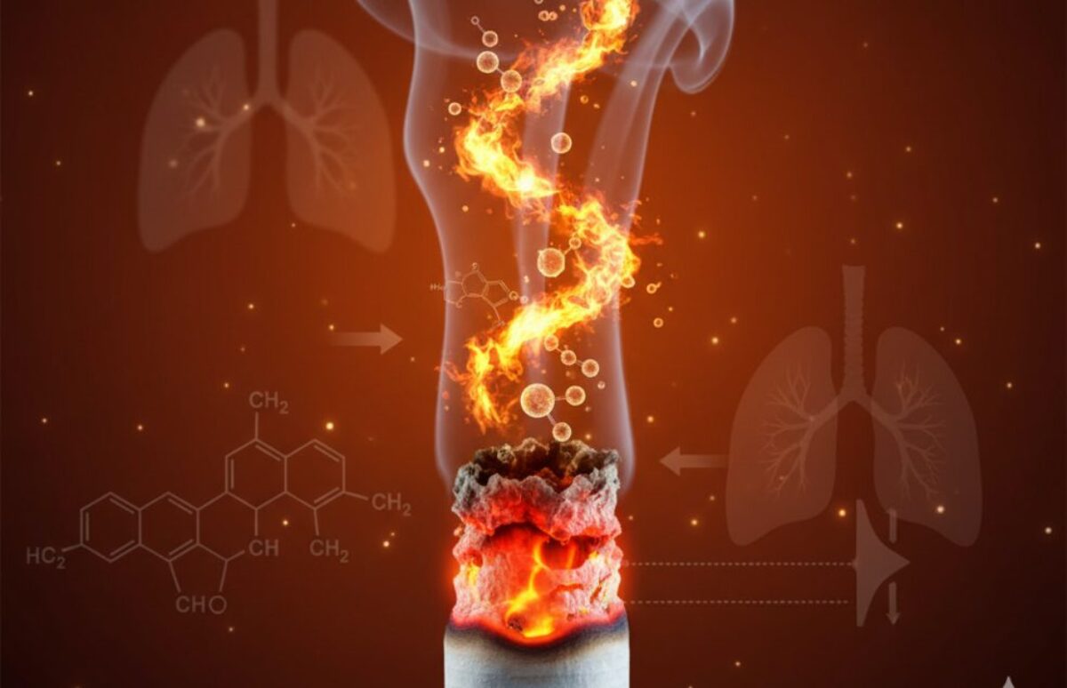 tobacco burn Factors Affecting Tobacco Combustion in Cigarettes